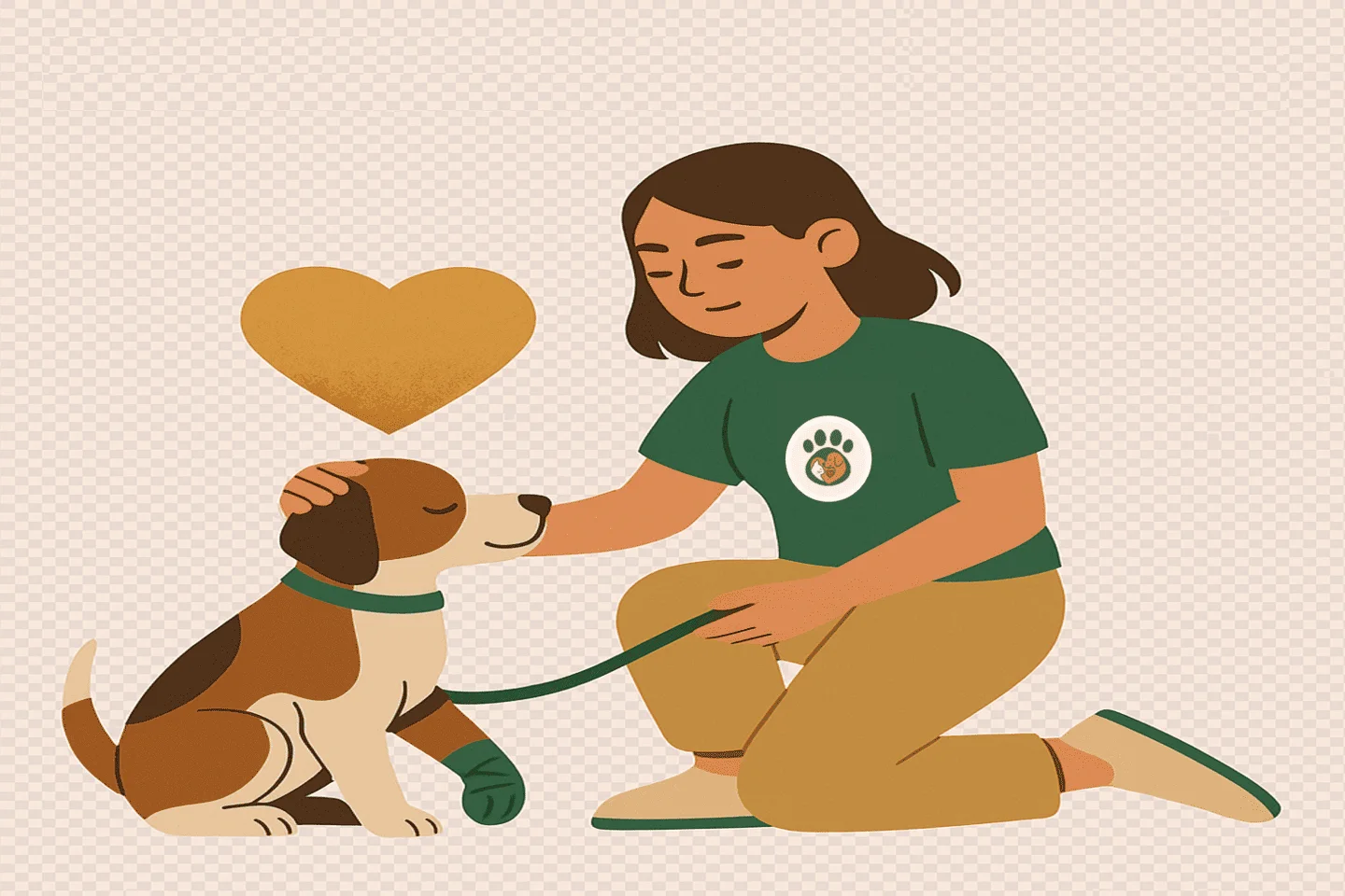 04 Rescate y Rehabilitación.